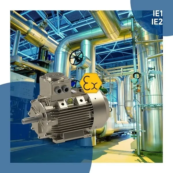 Ex-Proof Motorlar
